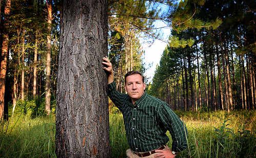 GIBSON ATTACK: Gympie MP David Gibson, pictured in the Toolara forestry off Tin Can Bay Road, launched a savage Parliamentary attack this week on Bligh Government asset sale plans. GIBSON ATTACK: Gympie MP David Gibson, pictured in the Toolara forestry off Tin Can Bay Road, launched a savage Parliamentary attack this week on Bligh Government asset sale plans.